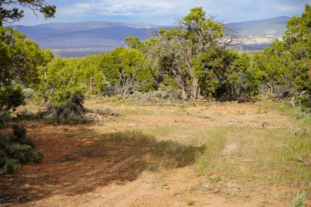 61020 Tres Coyotes Trail, Montrose, CO 81403