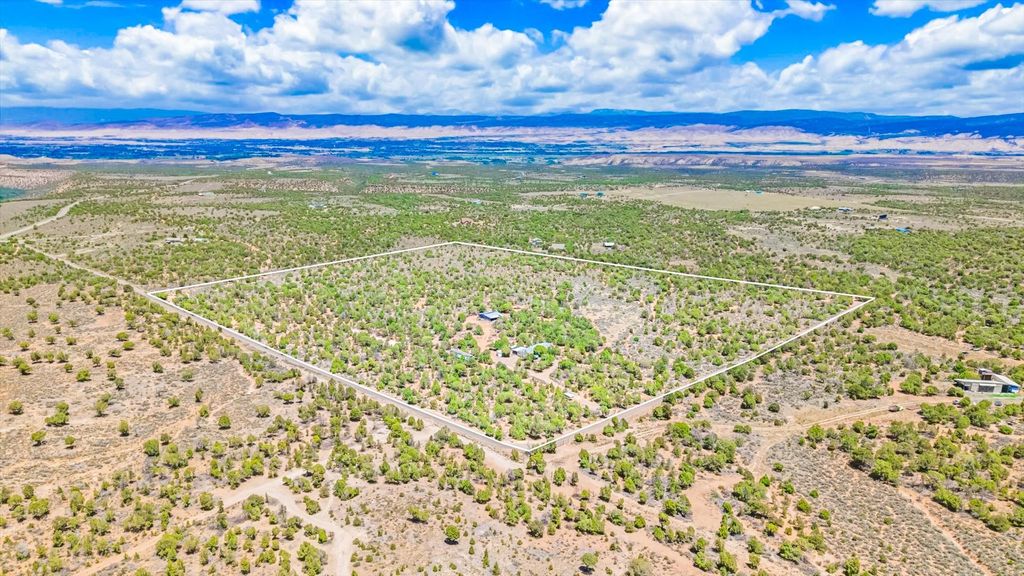 61020 Tres Coyotes Trail, Montrose, CO 81403