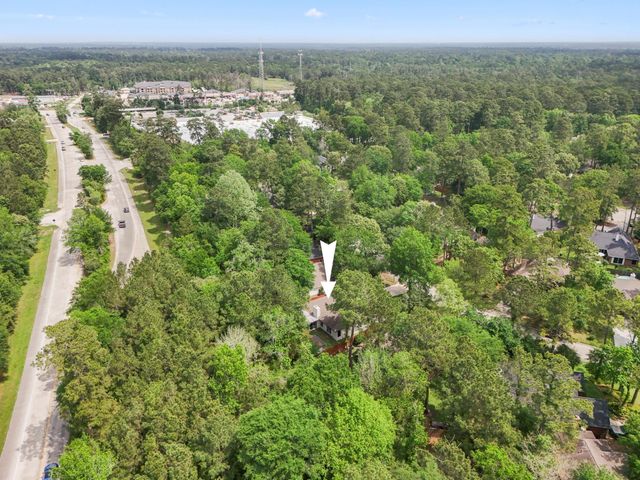 146 S Holly Laurel Circle, The Woodlands, TX 77382