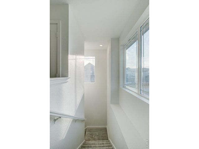 2631 Painted Turtle Ave, Loveland, CO 80538