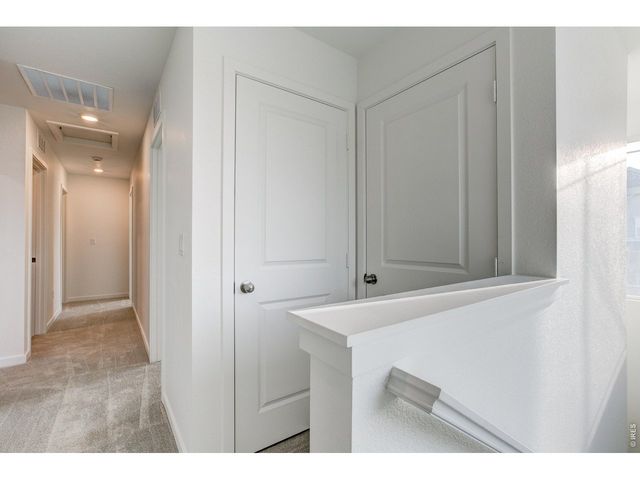 2631 Painted Turtle Ave, Loveland, CO 80538