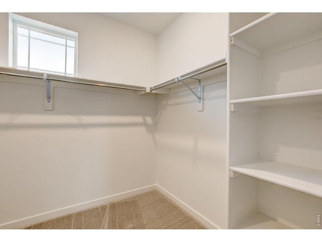 2631 Painted Turtle Ave, Loveland, CO 80538