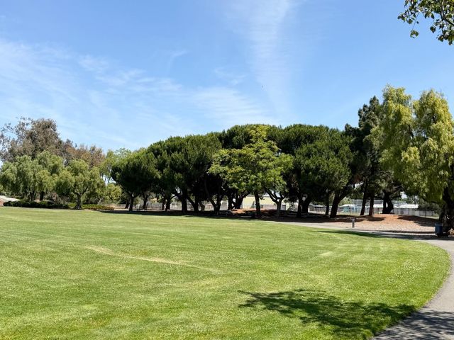 6682 Normandy Drive, Newark, CA 94560