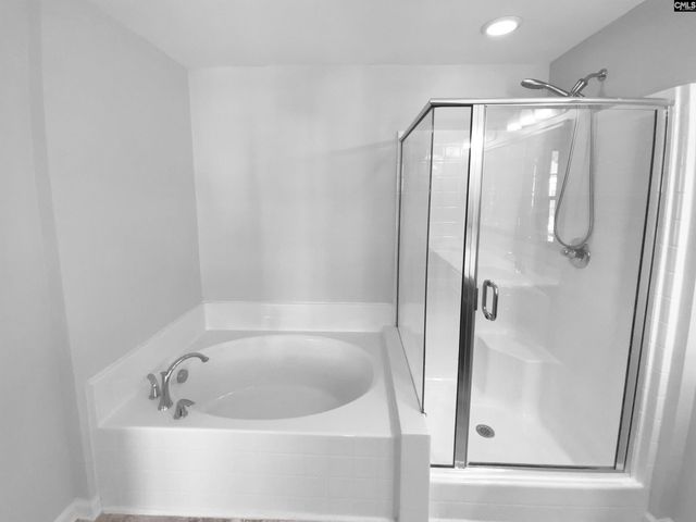 756 Helmsman Lane, Chapin, SC 29036