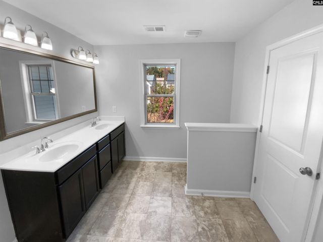 756 Helmsman Lane, Chapin, SC 29036