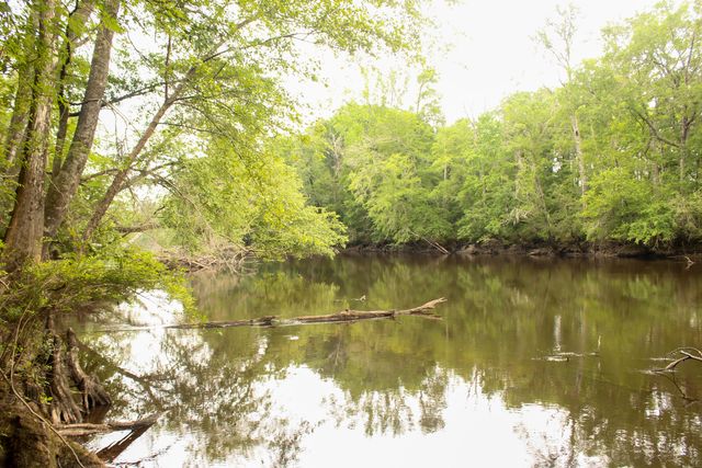 5451 Wire Road, Branchville, SC 29432