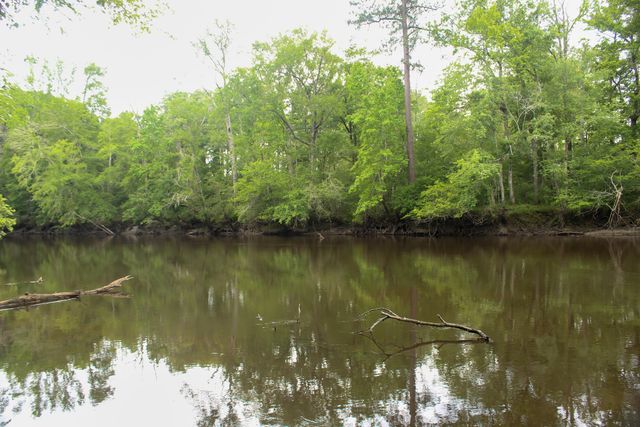 5451 Wire Road, Branchville, SC 29432
