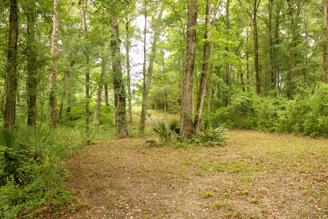 5451 Wire Road, Branchville, SC 29432