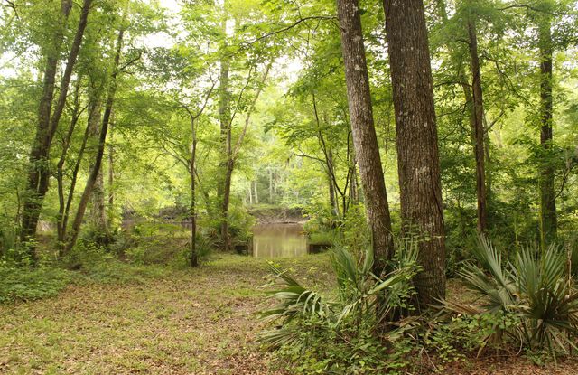 5451 Wire Road, Branchville, SC 29432