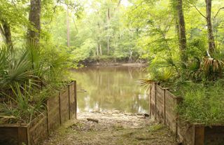 5451 Wire Road, Branchville, SC 29432