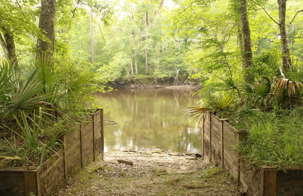 5451 Wire Road, Branchville, SC 29432