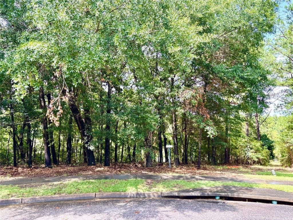 0 Red Maple Drive, Mobile, AL 36618 — photo 4