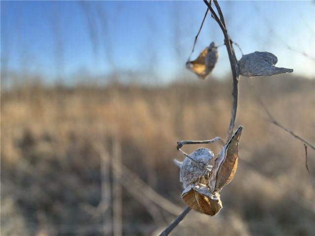 TBD W 172 Terrace, Stilwell, KS 66085