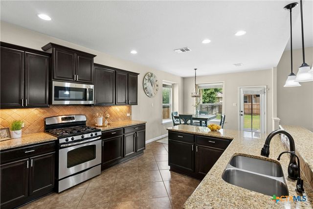 206 Paul Azinger Court, Round Rock, TX 78664