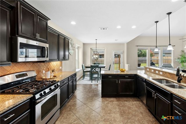 206 Paul Azinger Court, Round Rock, TX 78664