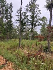 156 Madison CR 410, Fredericktown, MO 63645