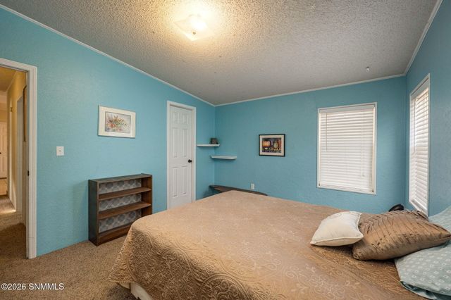 220 Squirrel Road, Las Cruces, NM 88007