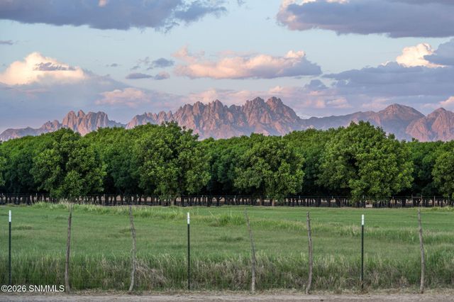 220 Squirrel Road, Las Cruces, NM 88007