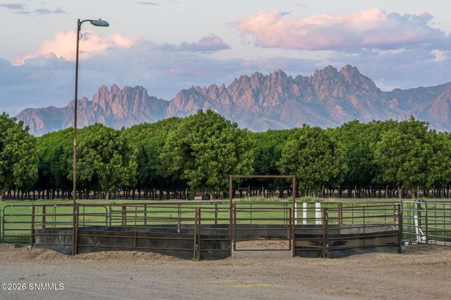220 Squirrel Road, Las Cruces, NM 88007