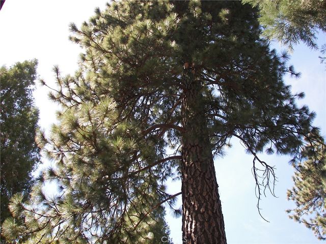 22920 Fir, Crestline, CA 92325