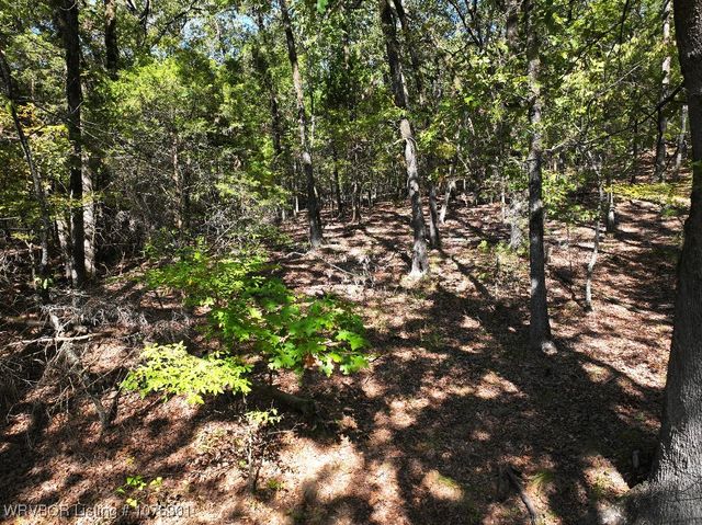 30 River Overlook Loop, Van Buren, AR 72956