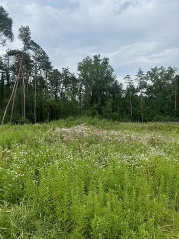 6130 Thornapple River Drive, Alto, MI 49302