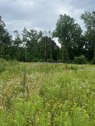 6130 Thornapple River Drive, Alto, MI 49302