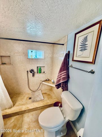 1419 Turkey Creek Drive NE, Palm Bay, FL 32905