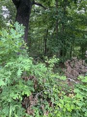Lot 14 Epping Drive, Bella Vista, AR 72714