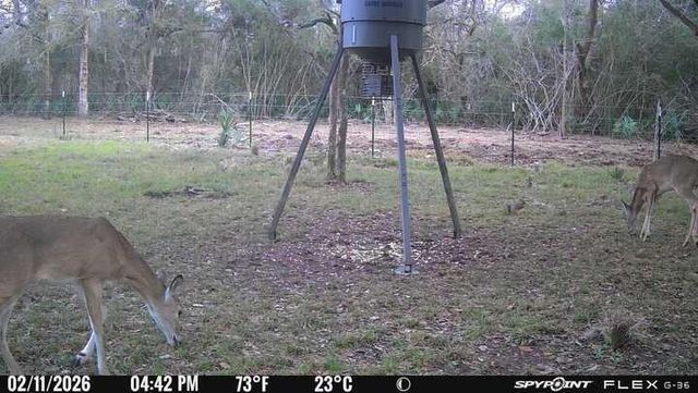 320 W Pleasant Street, Brazoria, TX 77422