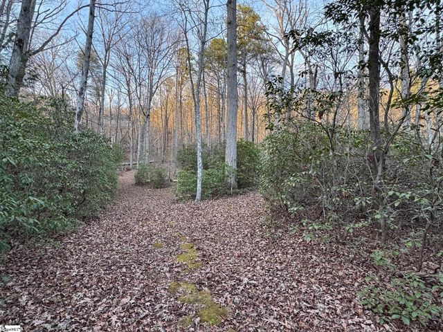 Lot 24 Mountaire Way, Travelers Rest, SC 29690