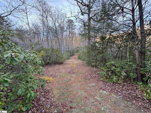 Lot 24 Mountaire Way, Travelers Rest, SC 29690