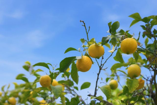 3611 Groesbeck Hill Drive, San Jose, CA 95148