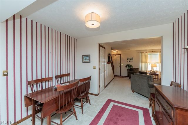1979 Sandy Hook, Stow, OH 44224
