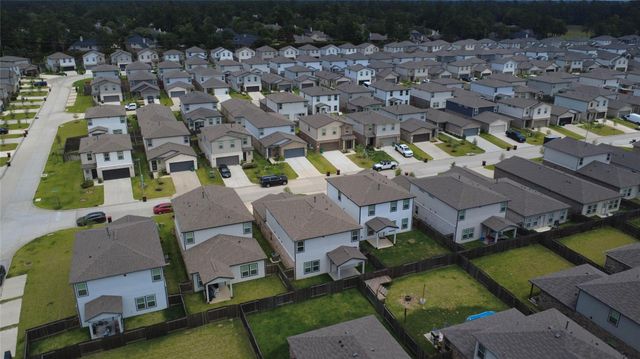 8371 Bristlecone Pine Way, Magnolia, TX 77354