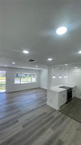 113 W DIVISION STREET, Winter Garden, FL 34787