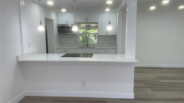 113 W DIVISION STREET, Winter Garden, FL 34787