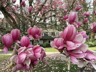 3675 Toxaway Court, Atlanta, GA 30341