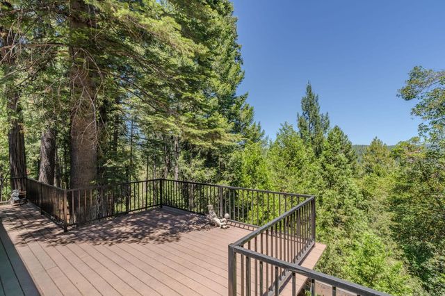 16502 Meadow Vista Dr, Pioneer, CA 95666