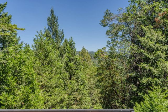 16502 Meadow Vista Dr, Pioneer, CA 95666