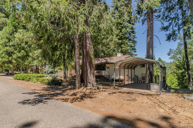 16502 Meadow Vista Dr, Pioneer, CA 95666
