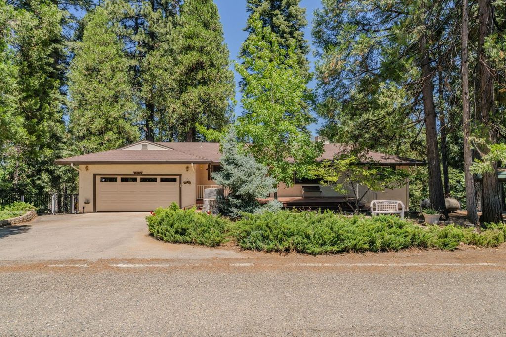 16502 Meadow Vista Dr, Pioneer, CA 95666