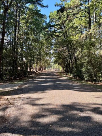 170 Altwood Drive, Coldspring, TX 77331