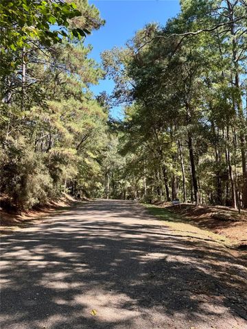 170 Altwood Drive, Coldspring, TX 77331