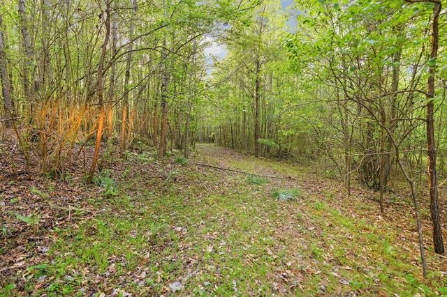 2239 Crossroads Church Road, Buchanan, GA 30113