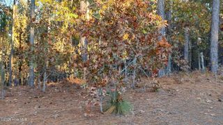 4 Brassie Circle, Jackson Springs, NC 27281