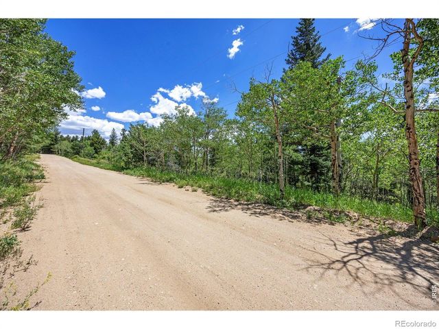 1568 County Road 103, Nederland, CO 80466