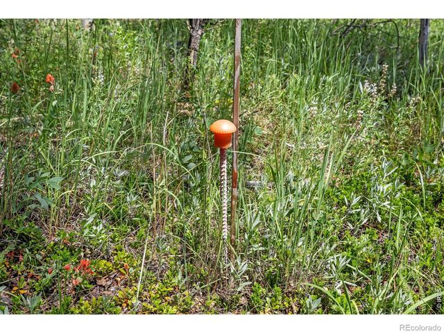 1568 County Road 103, Nederland, CO 80466