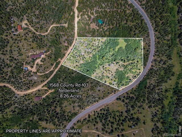 1568 County Road 103, Nederland, CO 80466