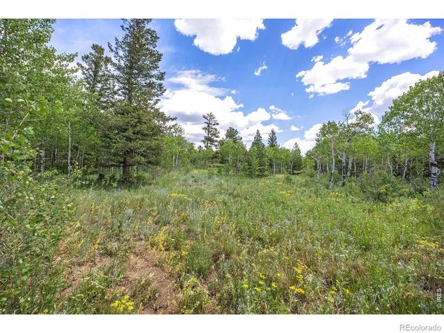 1568 County Road 103, Nederland, CO 80466
